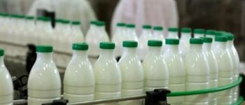 Crisis en los lácteos: caen las ventas y tambos y empresas enfrentan un escenario crítico 